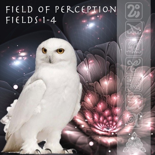 Rune Mastery Fields of Perception 1-4